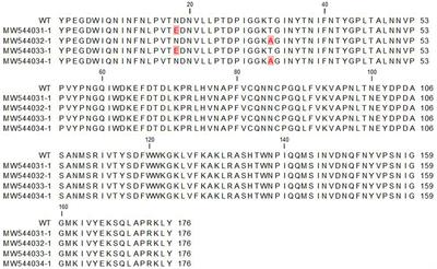 Molecular typing of canine parvovirus type 2 by VP2 gene sequencing and restriction fragment length polymorphism in affected dogs from Egypt